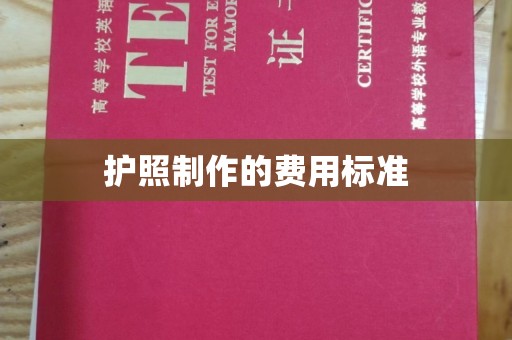 双流护照制作的费用标准